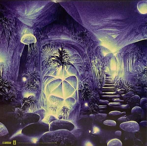 Cuco (6) - Fantasy Gateway