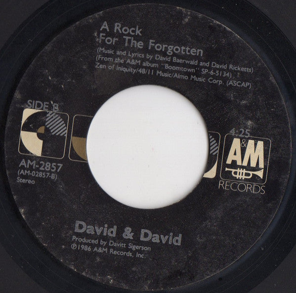 David + David - Welcome To The Boomtown