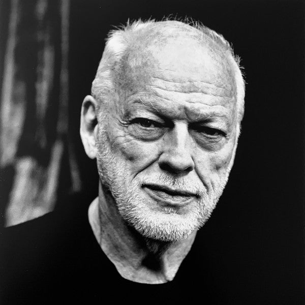 David Gilmour - Luck And Strange