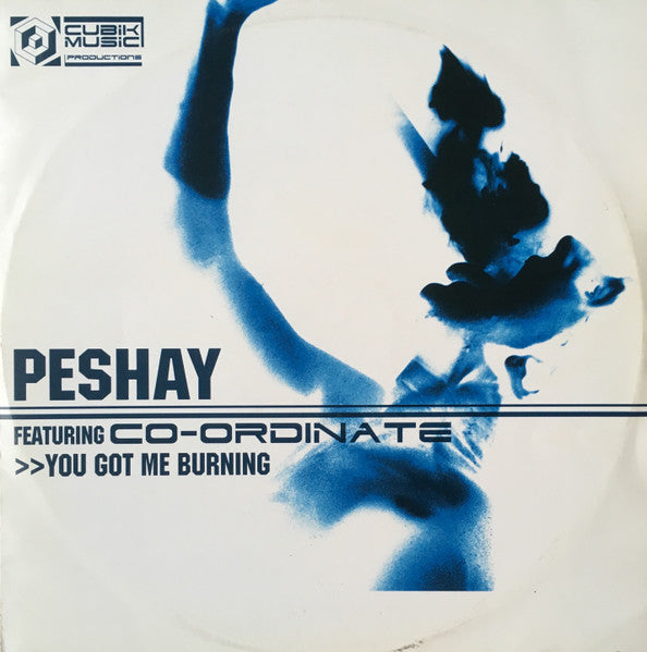 Peshay - You Got Me Burning / Fuzion