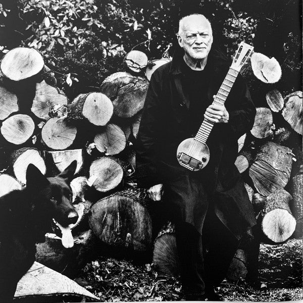 David Gilmour - Luck And Strange