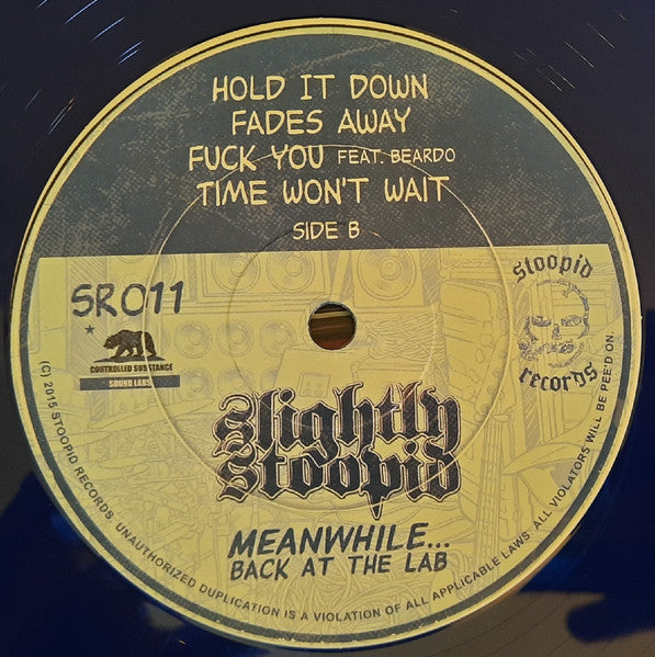 Meanwhile... Back At The Lab