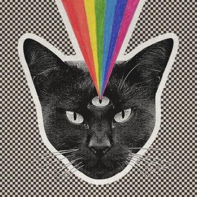 Never Shout Never - Black Cat