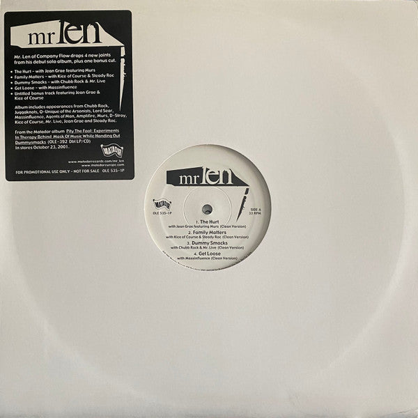 Mr. Len - Pity The Fool
