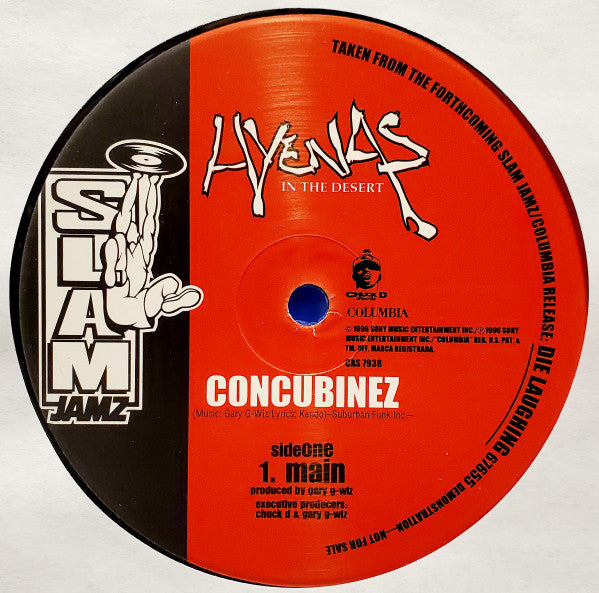 Hyenas In The Desert - Concubinez