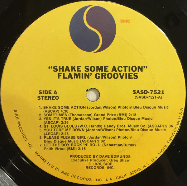The Flamin' Groovies - Shake Some Action