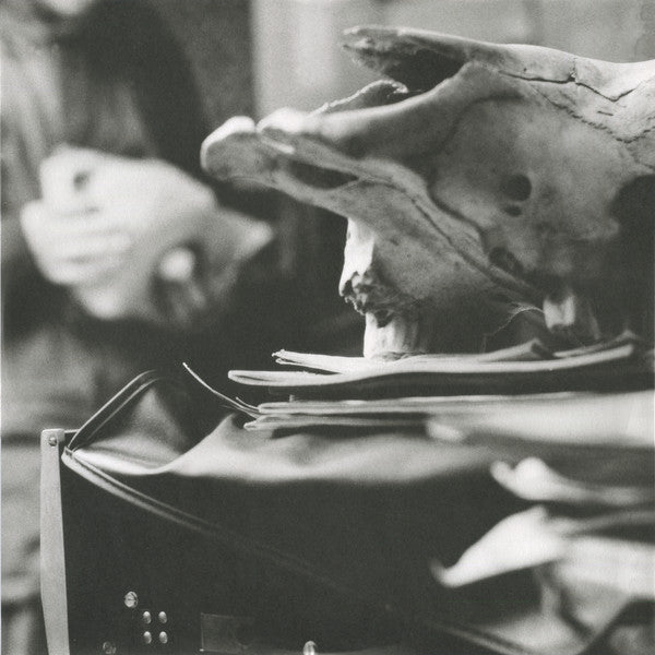 DJ Shadow - Endtroducing... (6LP, 20th Anniversary Endtrospective Edition)
