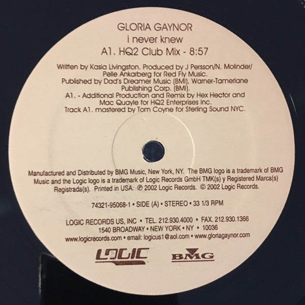 Gloria Gaynor - I Never Knew