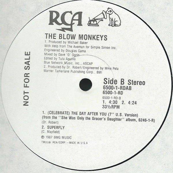 The Blow Monkeys - (Celebrate) The Day After You