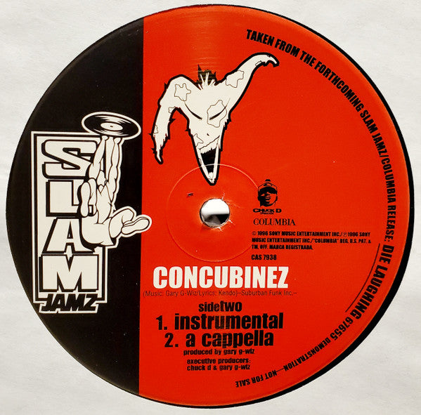 Hyenas In The Desert - Concubinez