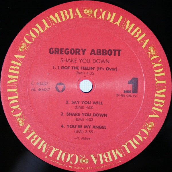 Gregory Abbott - Shake You Down