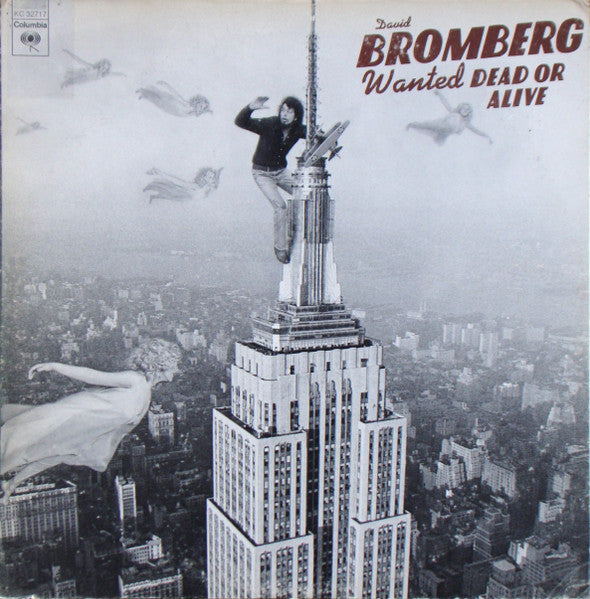 David Bromberg - Wanted Dead Or Alive