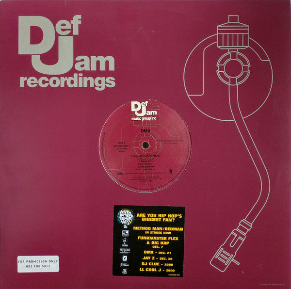 DMX - Party Up (Up In Here)