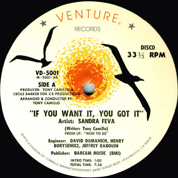 Sandra Feva - If You Want It, You Got It