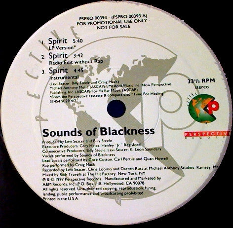 Sounds Of Blackness - Spirit