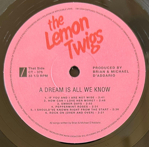 The Lemon Twigs - A Dream Is All We Know