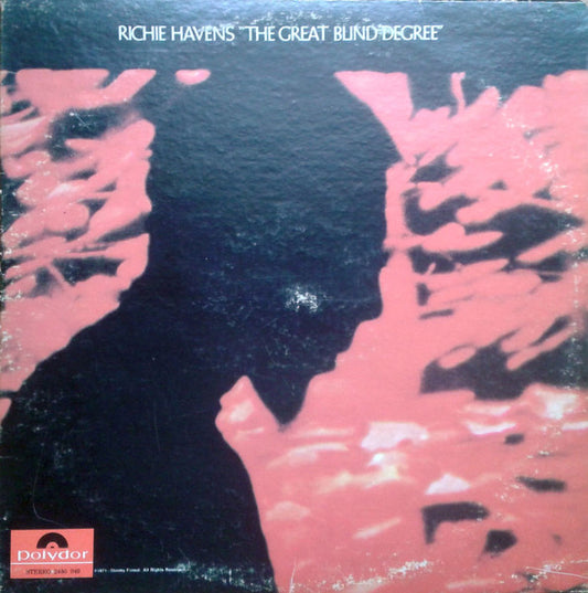 Richie Havens - The Great Blind Degree