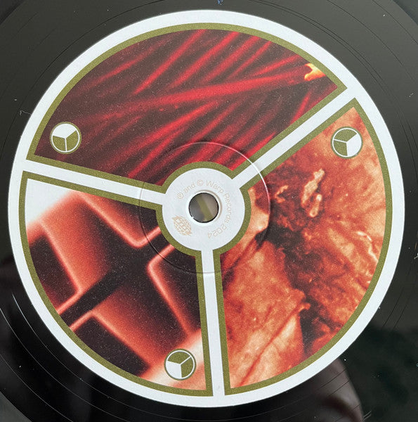 Aphex Twin - Selected Ambient Works Volume II