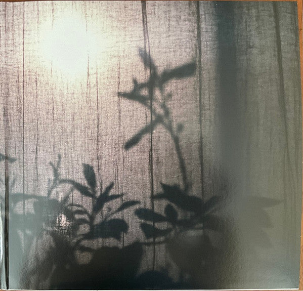 Beirut - A Study Of Losses