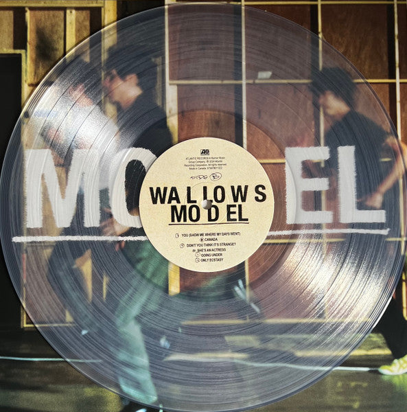Wallows - Model