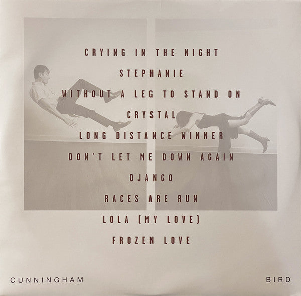 Andrew Bird - Cunningham Bird