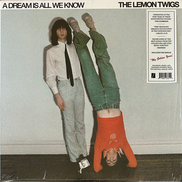The Lemon Twigs - A Dream Is All We Know