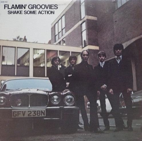 The Flamin' Groovies - Shake Some Action