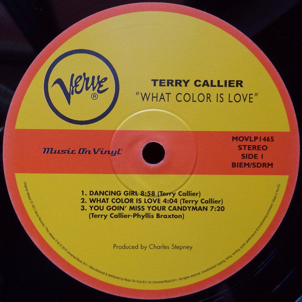 Terry Callier - What Color Is Love