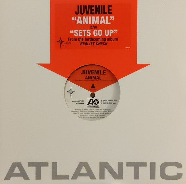 Juvenile (2) - Animal / Holla Back
