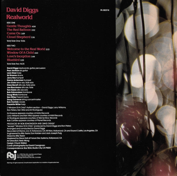 David Diggs - Realworld