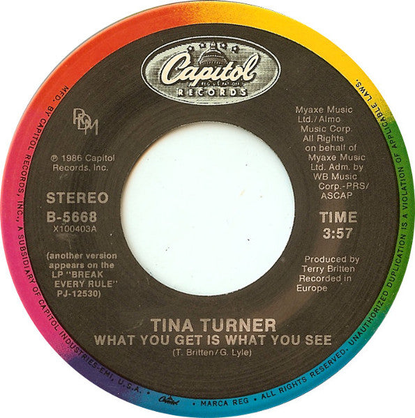 Tina Turner - What You Get Is What You See