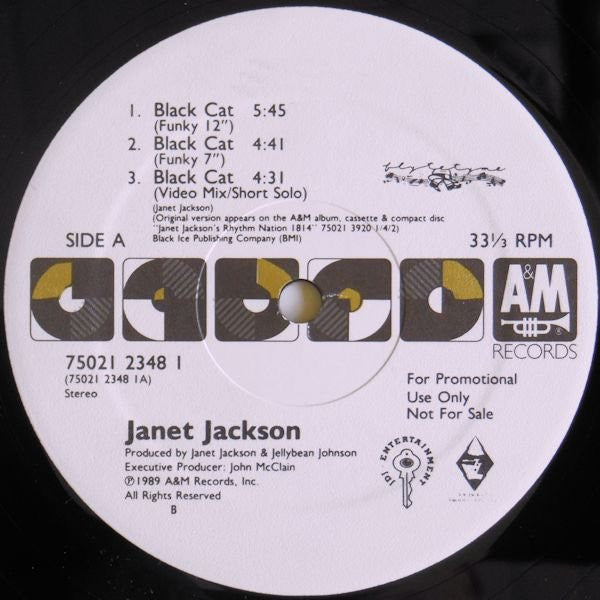 Janet Jackson - Black Cat