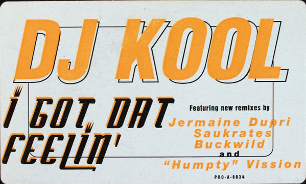 DJ Kool - I Got Dat Feelin' (Remix)