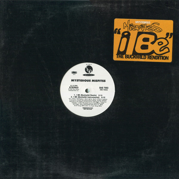 Mystidious Misfitss - I Be - The Buckwild Rendition