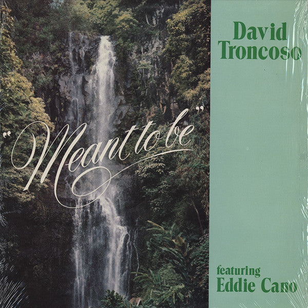 David Troncoso - Meant To Be