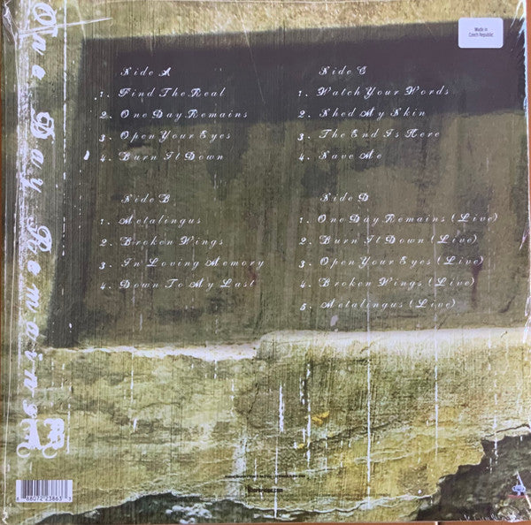 Alter Bridge - One Day Remains