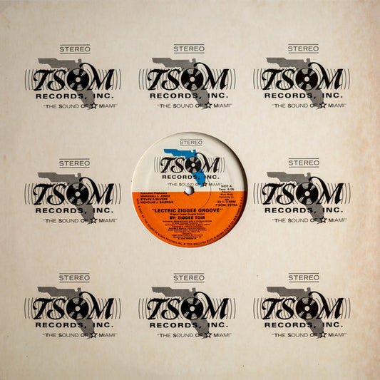 Lectric Ziggee Groove