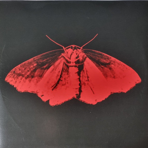 Mother Mother - Inside