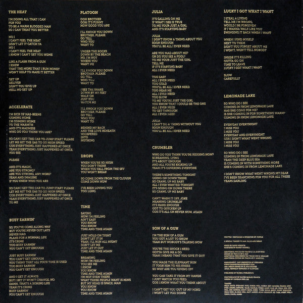 Jungle (12) - Jungle