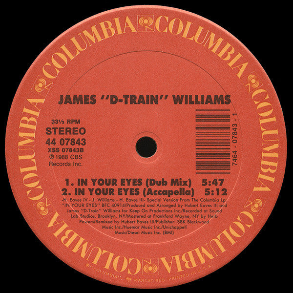 James "D-Train" Williams - In Your Eyes