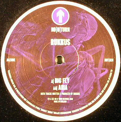 Big Fly / Aria