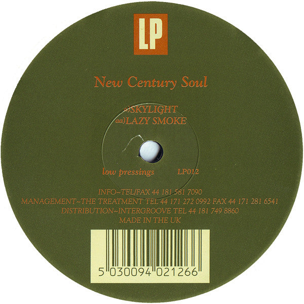 New Century Soul - Skylight