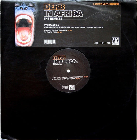Derb - In Africa (The Remixes)
