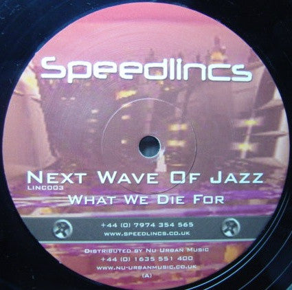 Next Wave Of Jazz - What We Die For