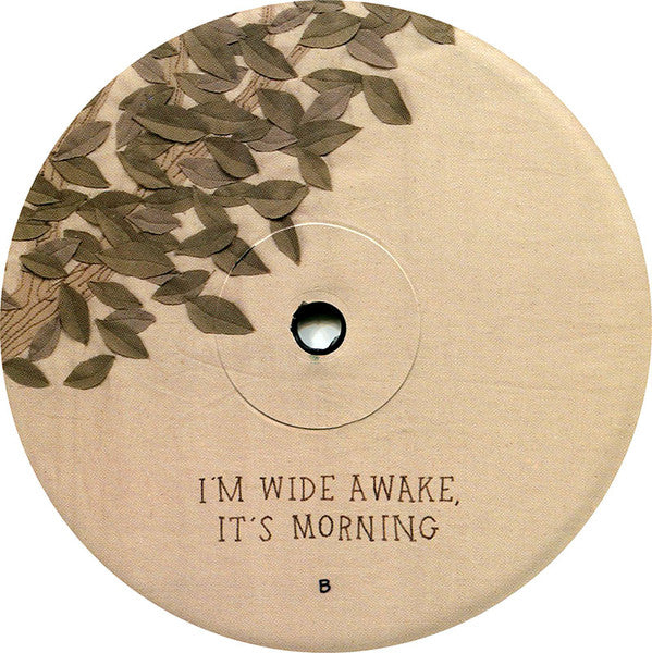 Bright Eyes - I'm Wide Awake, It's Morning