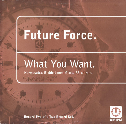 What You Want (Karmasutra / Richie Jones Mixes)