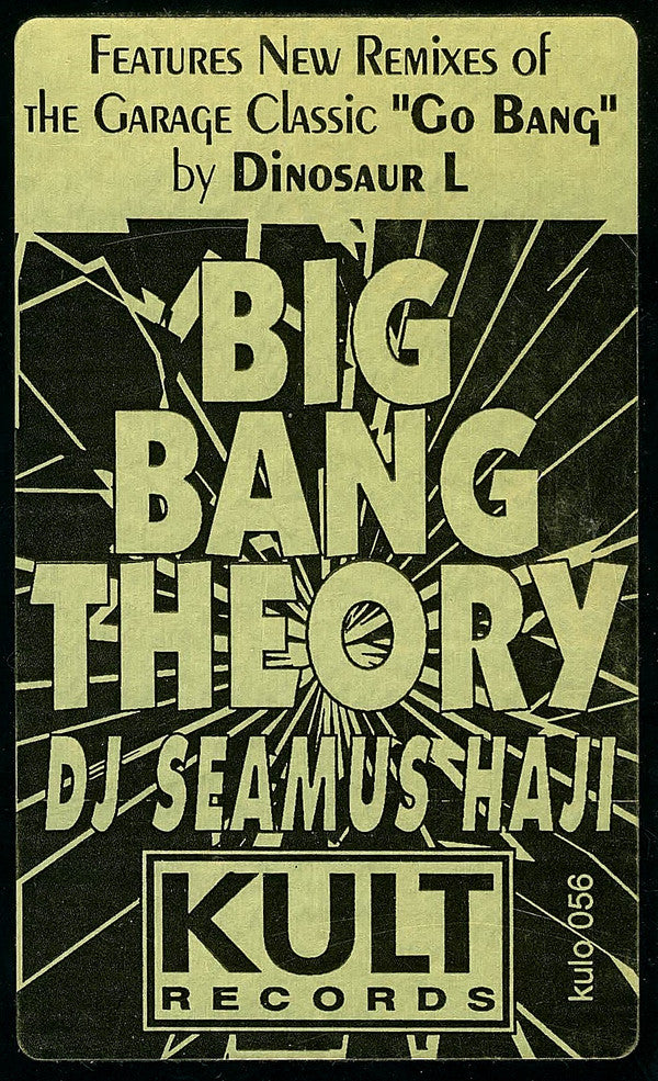 Seamus Haji - Big Bang Theory
