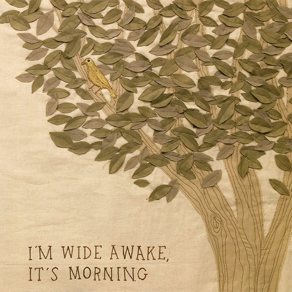 Bright Eyes - I'm Wide Awake, It's Morning