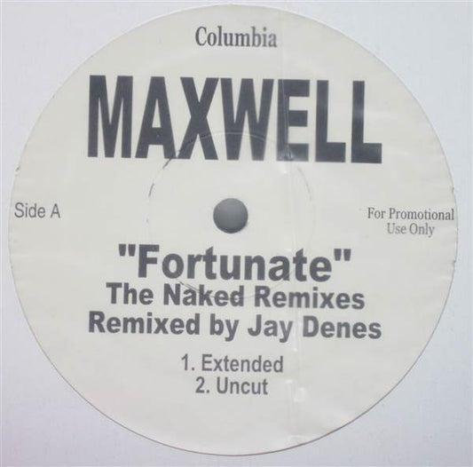 Fortunate (The Naked Remixes)