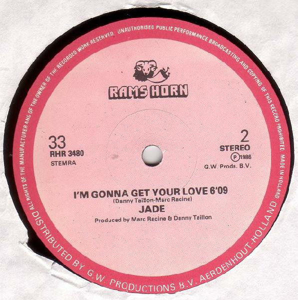 I'm Gonna Get Your Love (Special Disconet R.E.M.I.X.)